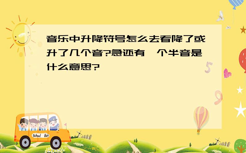 音乐中升降符号怎么去看降了或升了几个音?急还有一个半音是什么意思?