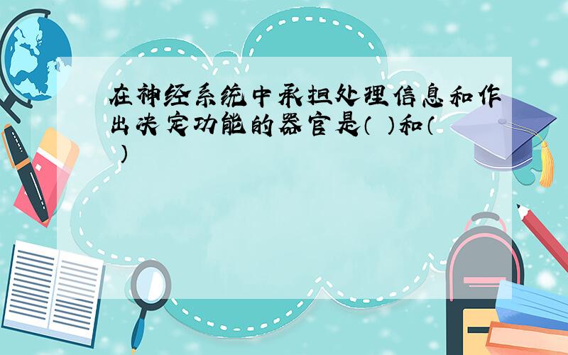 在神经系统中承担处理信息和作出决定功能的器官是（ ）和（ ）