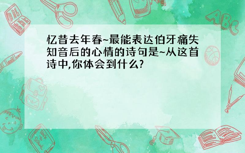 忆昔去年春~最能表达伯牙痛失知音后的心情的诗句是~从这首诗中,你体会到什么?