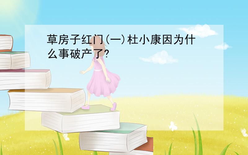 草房子红门(一)杜小康因为什么事破产了?