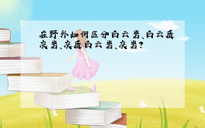 在野外如何区分白云岩、白云质灰岩、灰质白云岩、灰岩?