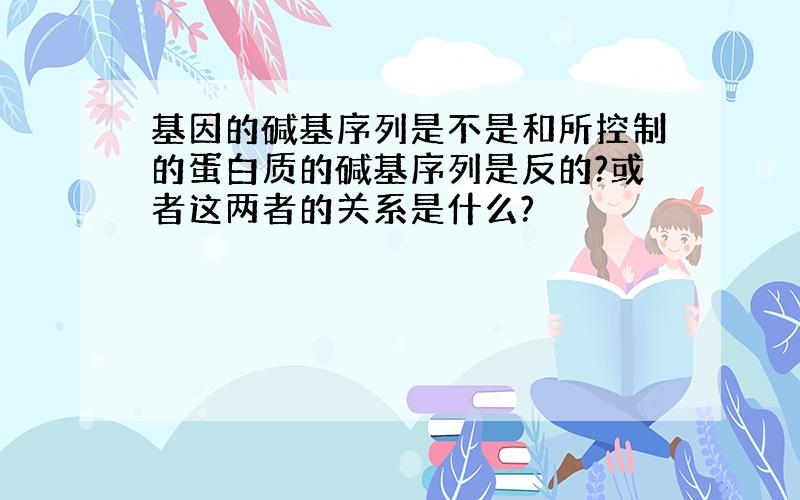 基因的碱基序列是不是和所控制的蛋白质的碱基序列是反的?或者这两者的关系是什么?