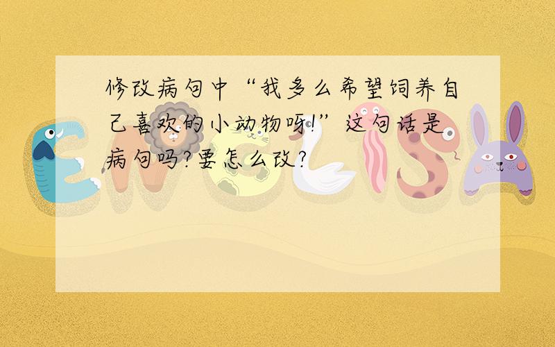 修改病句中“我多么希望饲养自己喜欢的小动物呀!”这句话是病句吗?要怎么改?