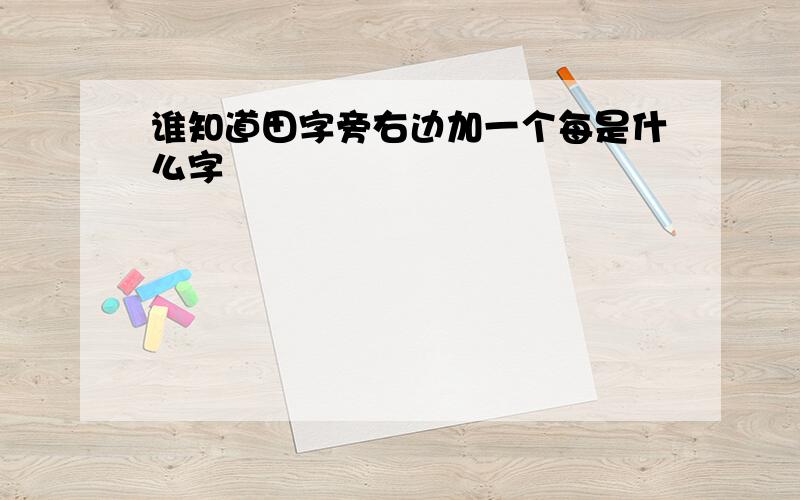 谁知道田字旁右边加一个每是什么字