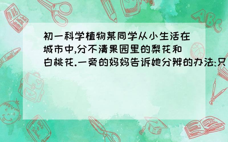 初一科学植物某同学从小生活在城市中,分不清果园里的梨花和白桃花.一旁的妈妈告诉她分辨的办法:只要小心地播开花托上的部分,