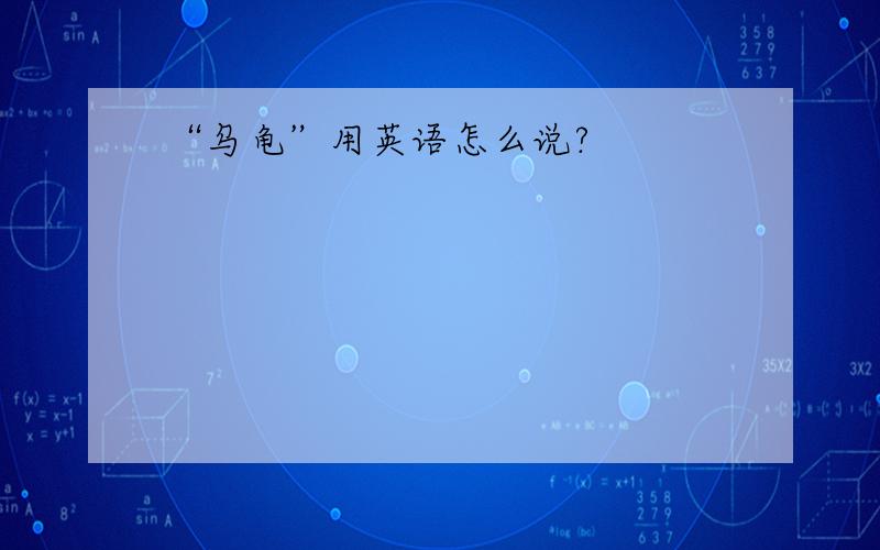 “乌龟”用英语怎么说?