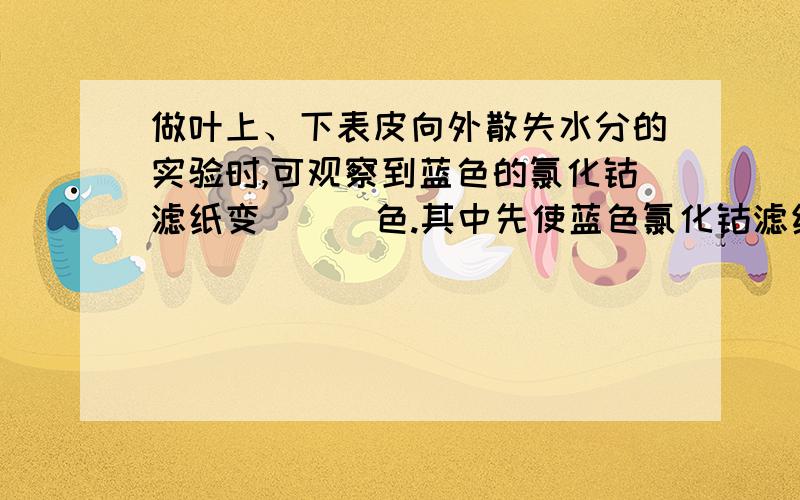 做叶上、下表皮向外散失水分的实验时,可观察到蓝色的氯化钴滤纸变（ ） 色.其中先使蓝色氯化钴滤纸变红色的是固定在（ ）的