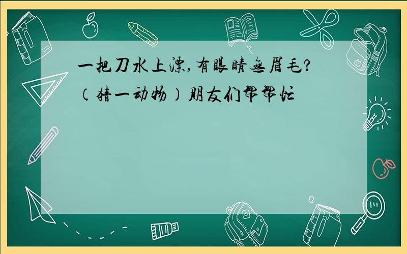 一把刀水上漂,有眼睛无眉毛?（猜一动物）朋友们帮帮忙