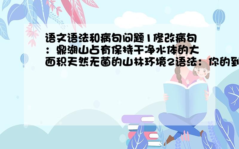 语文语法和病句问题1修改病句：鼎湖山占有保持干净水体的大面积天然无菌的山林环境2语法：你的到来,使我不高兴.谓语和宾语是