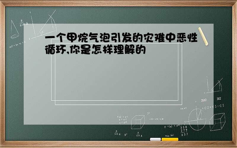 一个甲烷气泡引发的灾难中恶性循环,你是怎样理解的