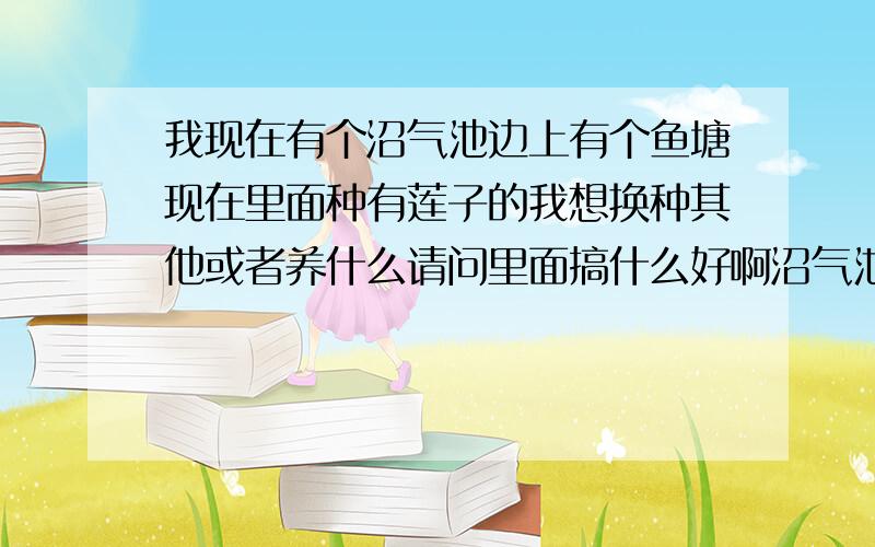 我现在有个沼气池边上有个鱼塘现在里面种有莲子的我想换种其他或者养什么请问里面搞什么好啊沼气池有80立方