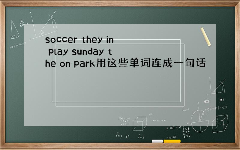 soccer they in play sunday the on park用这些单词连成一句话