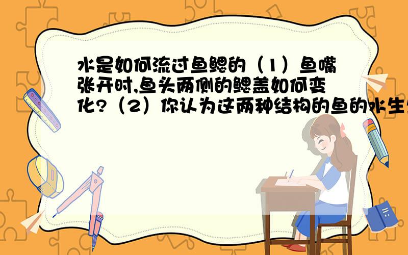 水是如何流过鱼鳃的（1）鱼嘴张开时,鱼头两侧的鳃盖如何变化?（2）你认为这两种结构的鱼的水生生活中起什么做用?前面的：1