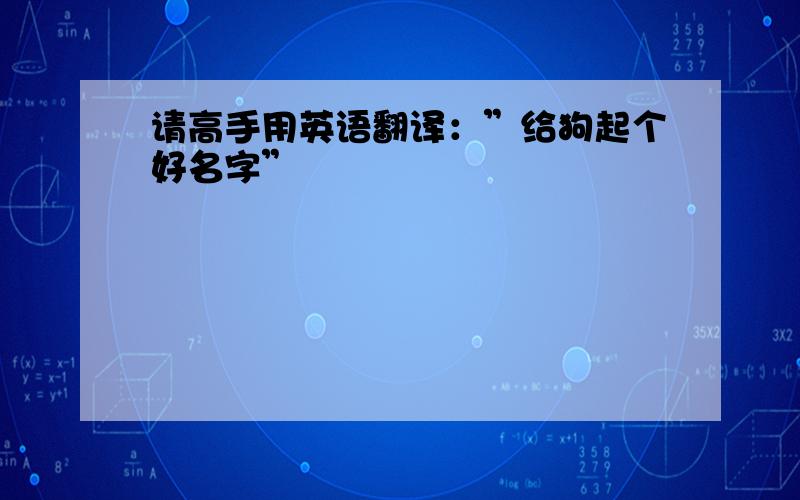 请高手用英语翻译：”给狗起个好名字”