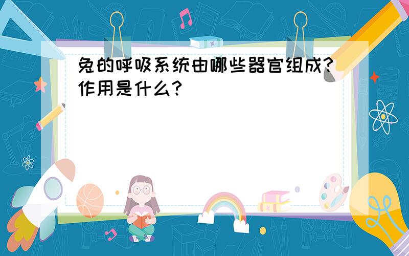 兔的呼吸系统由哪些器官组成?作用是什么?