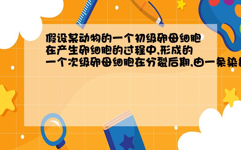 假设某动物的一个初级卵母细胞在产生卵细胞的过程中,形成的一个次级卵母细胞在分裂后期,由一条染色体上的两条姐妹染色单体形成