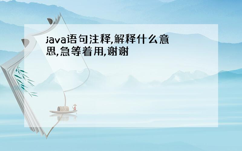 java语句注释,解释什么意思,急等着用,谢谢