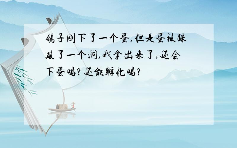 鸽子刚下了一个蛋,但是蛋被踩破了一个洞,我拿出来了,还会下蛋吗?还能孵化吗?