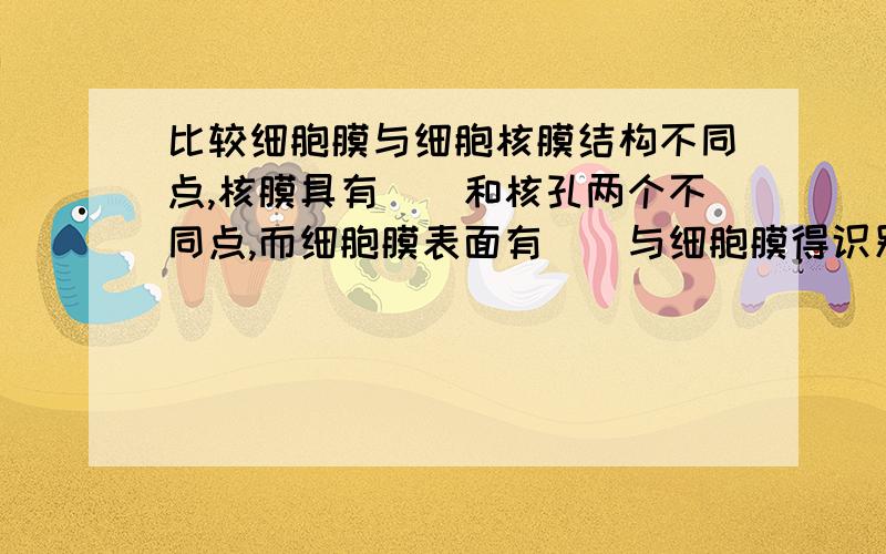 比较细胞膜与细胞核膜结构不同点,核膜具有（）和核孔两个不同点,而细胞膜表面有（）与细胞膜得识别作用相适应