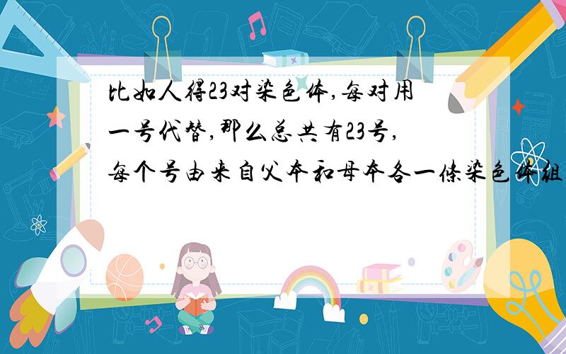 比如人得23对染色体,每对用一号代替,那么总共有23号,每个号由来自父本和母本各一条染色体组成.比如一号用染色体（A,a