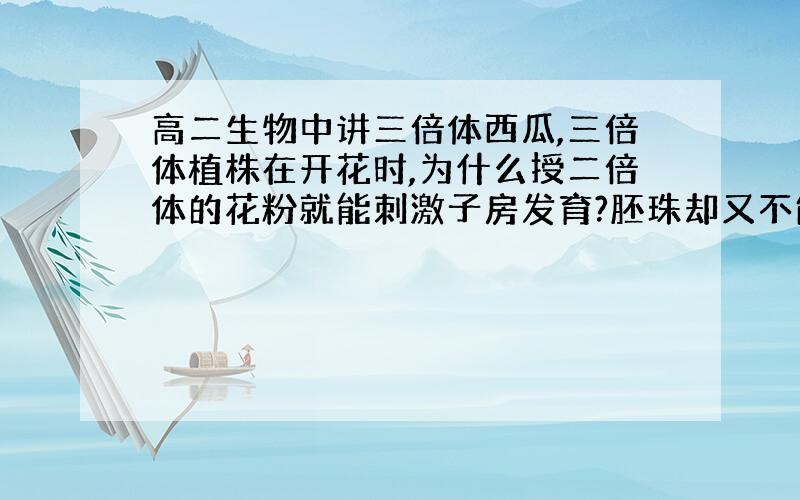 高二生物中讲三倍体西瓜,三倍体植株在开花时,为什么授二倍体的花粉就能刺激子房发育?胚珠却又不能发育