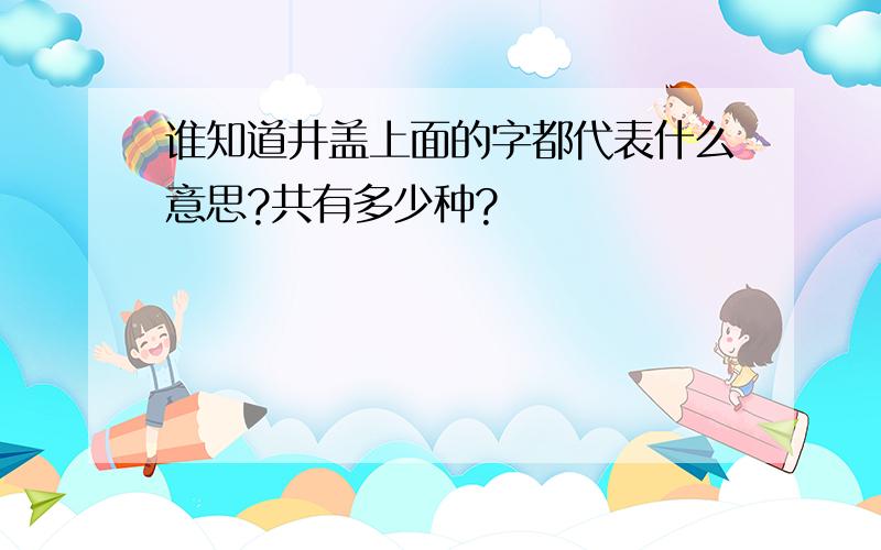 谁知道井盖上面的字都代表什么意思?共有多少种?