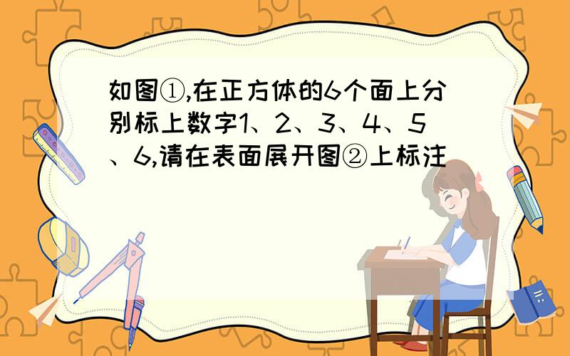 如图①,在正方体的6个面上分别标上数字1、2、3、4、5、6,请在表面展开图②上标注