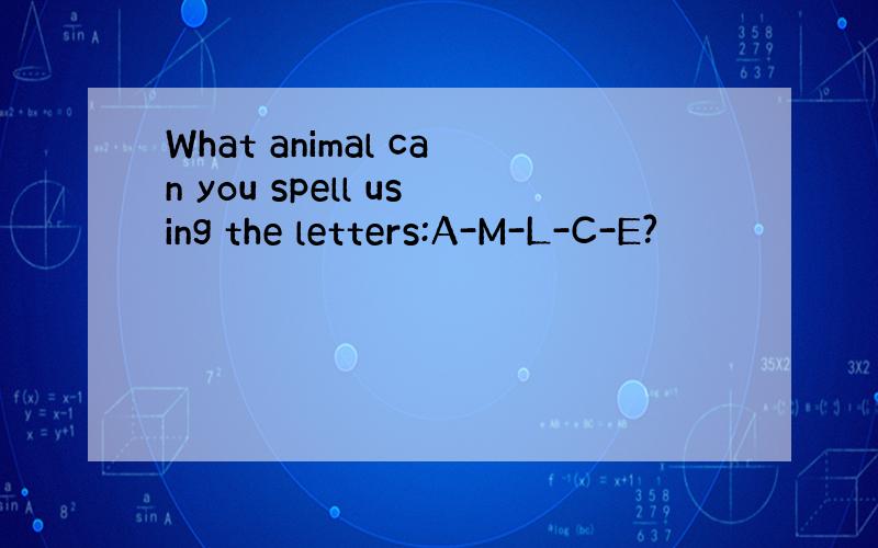 What animal can you spell using the letters:A-M-L-C-E?