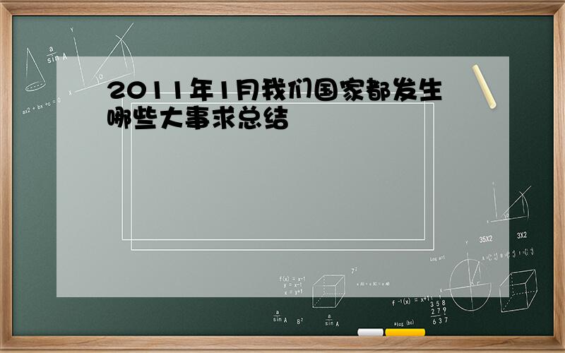 2011年1月我们国家都发生哪些大事求总结