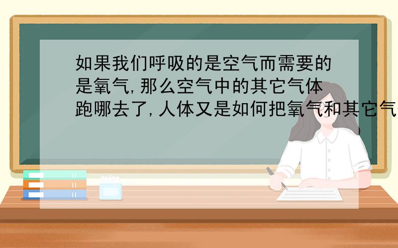 如果我们呼吸的是空气而需要的是氧气,那么空气中的其它气体跑哪去了,人体又是如何把氧气和其它气体分开的?