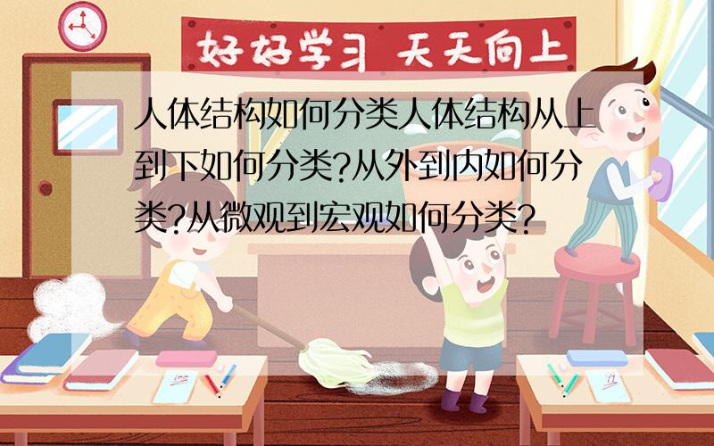 人体结构如何分类人体结构从上到下如何分类?从外到内如何分类?从微观到宏观如何分类?