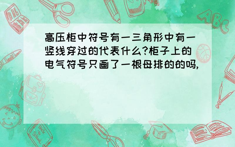 高压柜中符号有一三角形中有一竖线穿过的代表什么?柜子上的电气符号只画了一根母排的的吗,