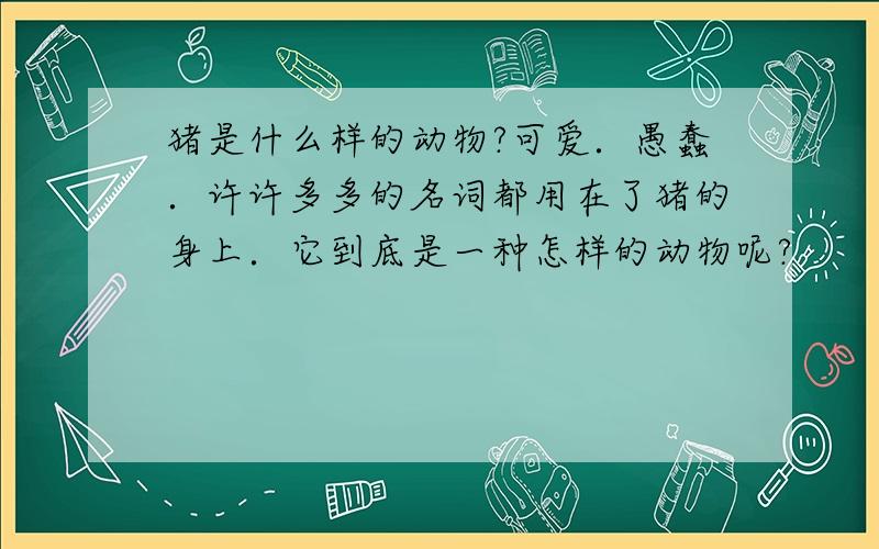 猪是什么样的动物?可爱．愚蠢．许许多多的名词都用在了猪的身上．它到底是一种怎样的动物呢?