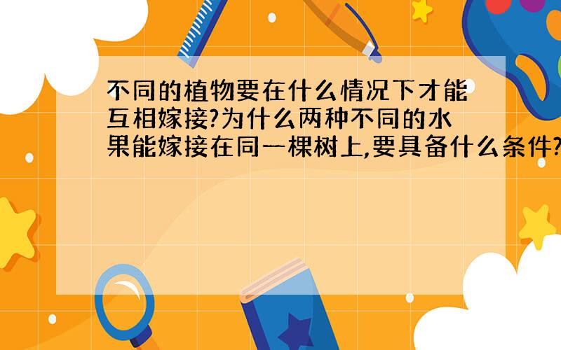 不同的植物要在什么情况下才能互相嫁接?为什么两种不同的水果能嫁接在同一棵树上,要具备什么条件?