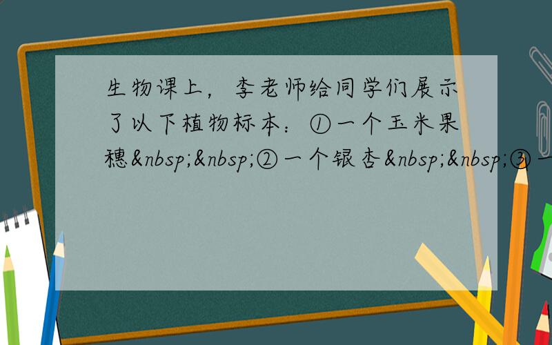 生物课上，李老师给同学们展示了以下植物标本：①一个玉米果穗  ②一个银杏  ③一