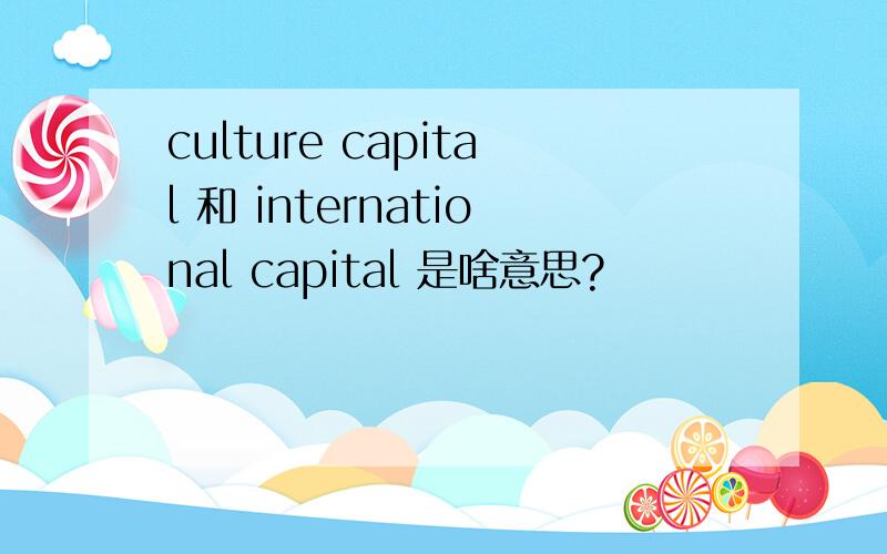 culture capital 和 international capital 是啥意思?