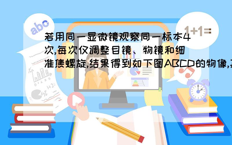 若用同一显微镜观察同一标本4次,每次仅调整目镜、物镜和细准焦螺旋,结果得到如下图ABCD的物像,其中视野最暗的是(&nb