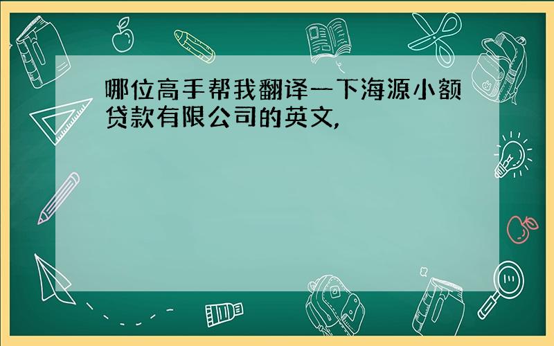 哪位高手帮我翻译一下海源小额贷款有限公司的英文,