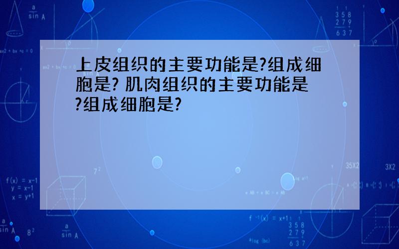 上皮组织的主要功能是?组成细胞是? 肌肉组织的主要功能是?组成细胞是?