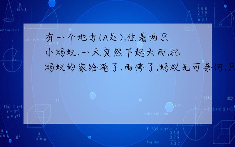 有一个地方(A处),住着两只小蚂蚁.一天突然下起大雨,把蚂蚁的家给淹了.雨停了,蚂蚁无可奈何,只好选择一个新的地方(B处