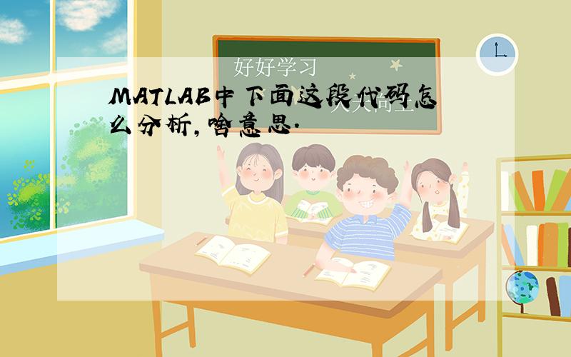 MATLAB中下面这段代码怎么分析,啥意思.