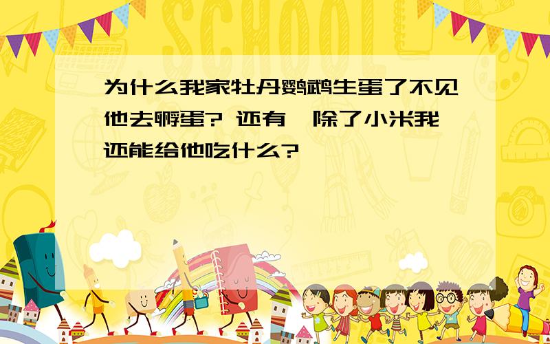 为什么我家牡丹鹦鹉生蛋了不见他去孵蛋? 还有,除了小米我还能给他吃什么?