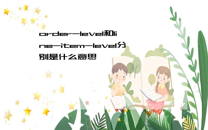 order-level和line-item-level分别是什么意思