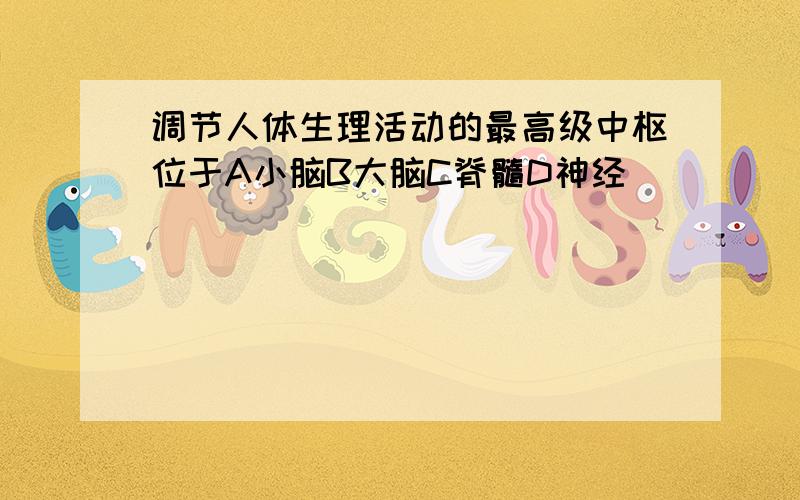 调节人体生理活动的最高级中枢位于A小脑B大脑C脊髓D神经