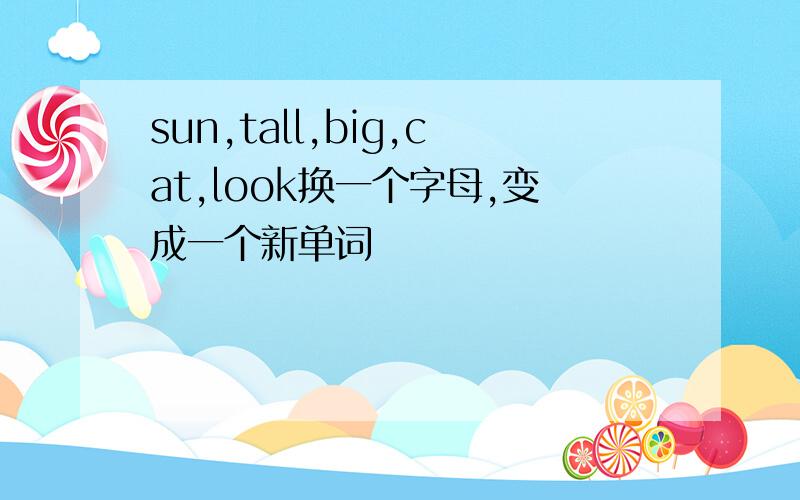 sun,tall,big,cat,look换一个字母,变成一个新单词