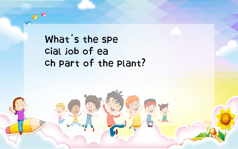 What's the special job of each part of the plant?