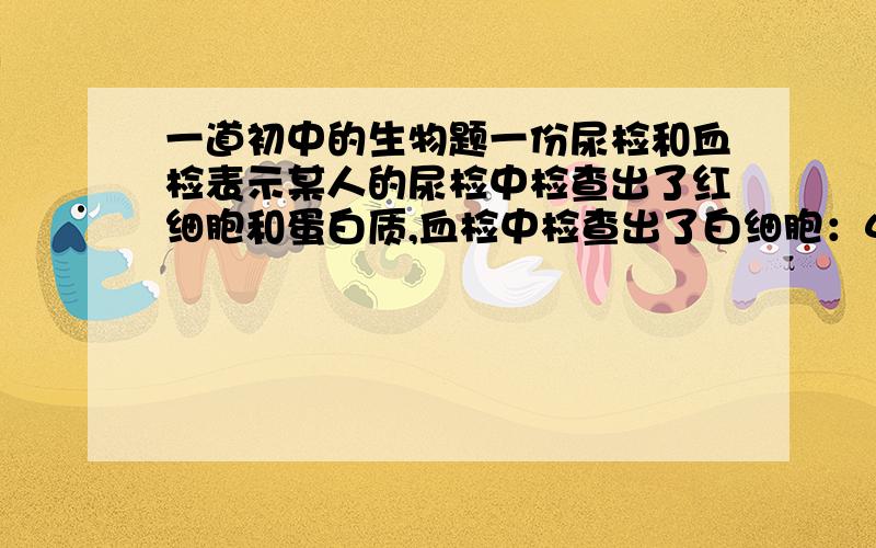 一道初中的生物题一份尿检和血检表示某人的尿检中检查出了红细胞和蛋白质,血检中检查出了白细胞：4.6x10的9次方个/L