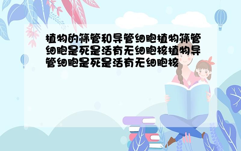 植物的筛管和导管细胞植物筛管细胞是死是活有无细胞核植物导管细胞是死是活有无细胞核