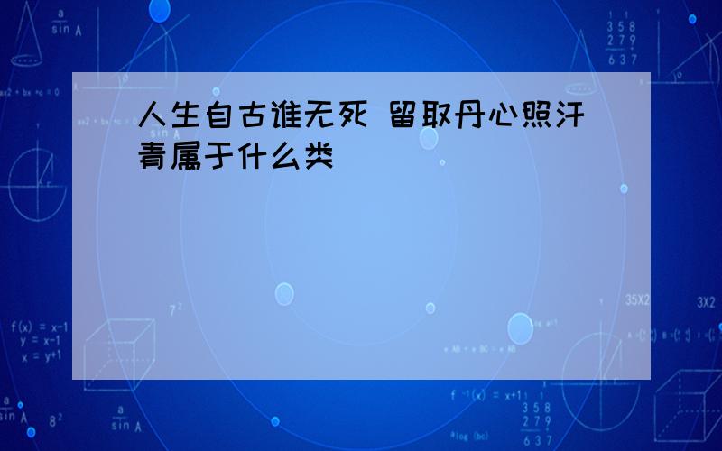 人生自古谁无死 留取丹心照汗青属于什么类