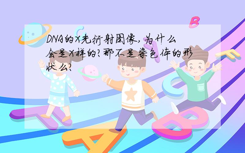 DNA的X光衍射图像,为什么会是X样的?那不是染色体的形状么?